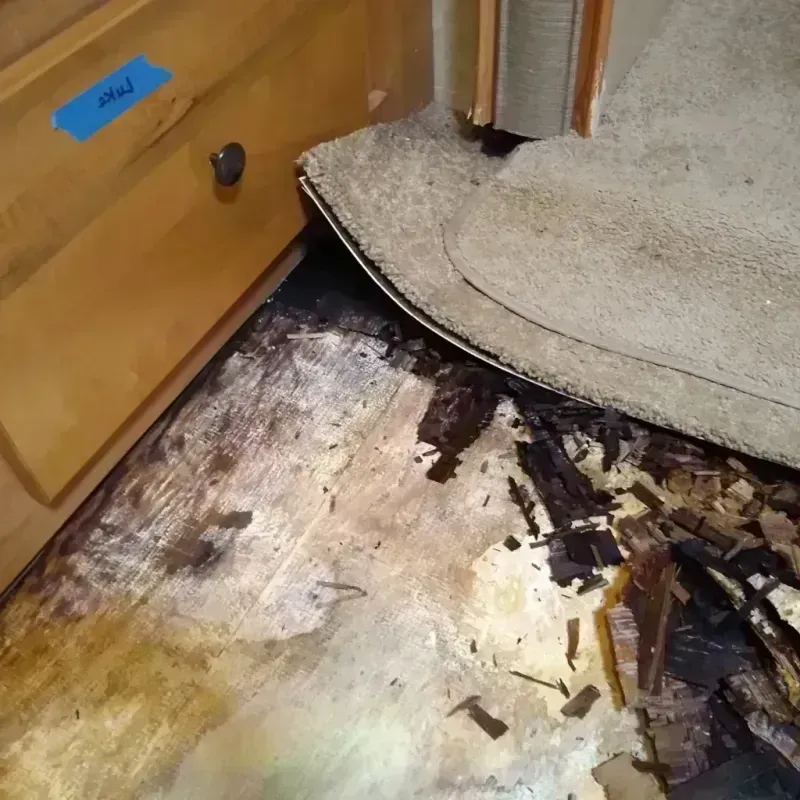 Best Wood Floor Water Damage Service in Clinton, SC